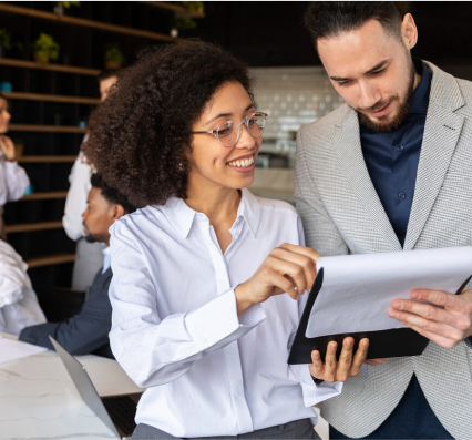 الاستشارات المهنية